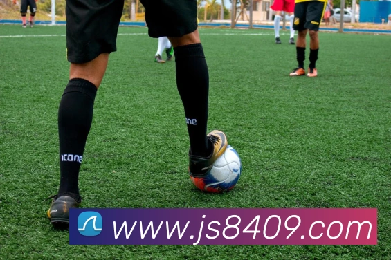 多媒体互动体验